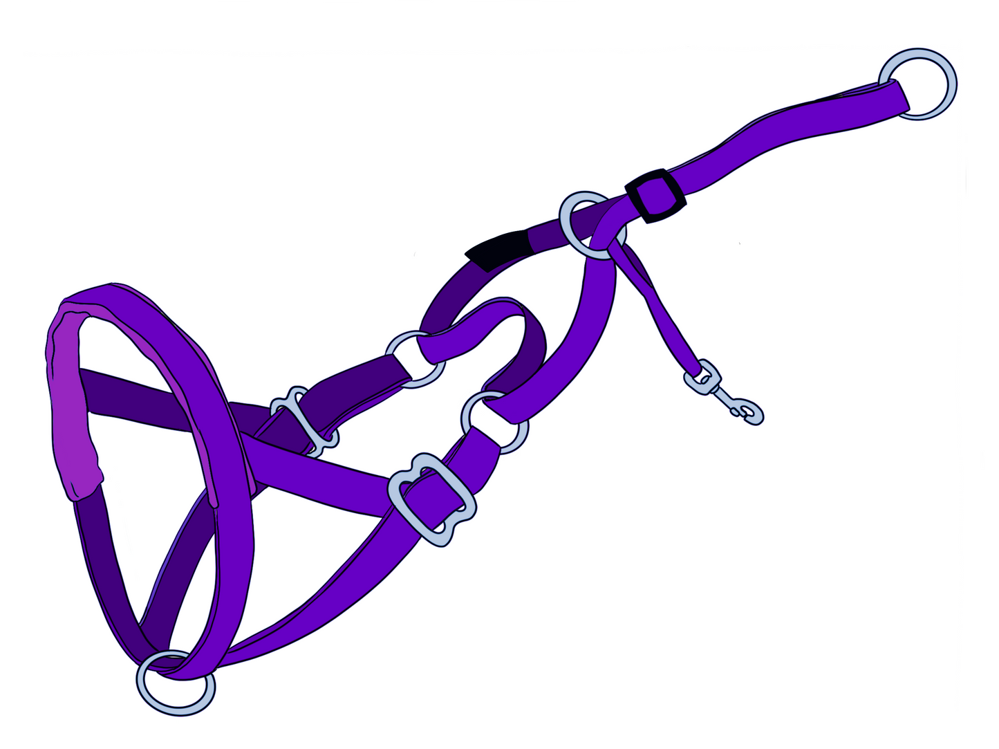 NANO NewTrix dog halter