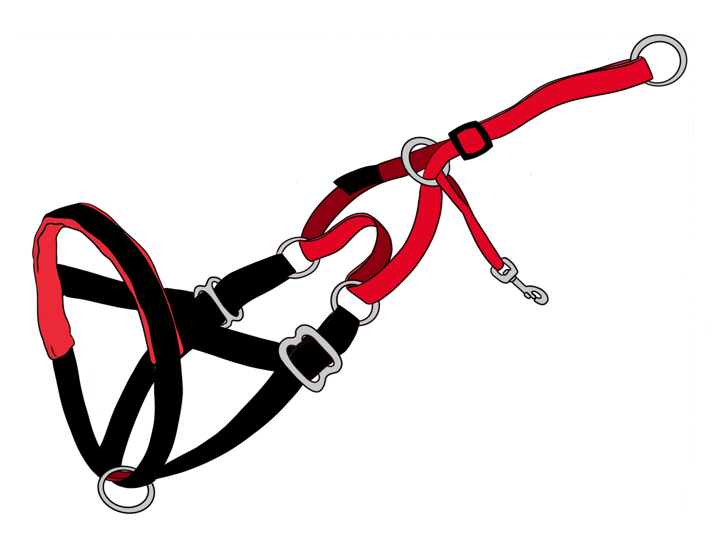 LARGE size NewTrix dog halter