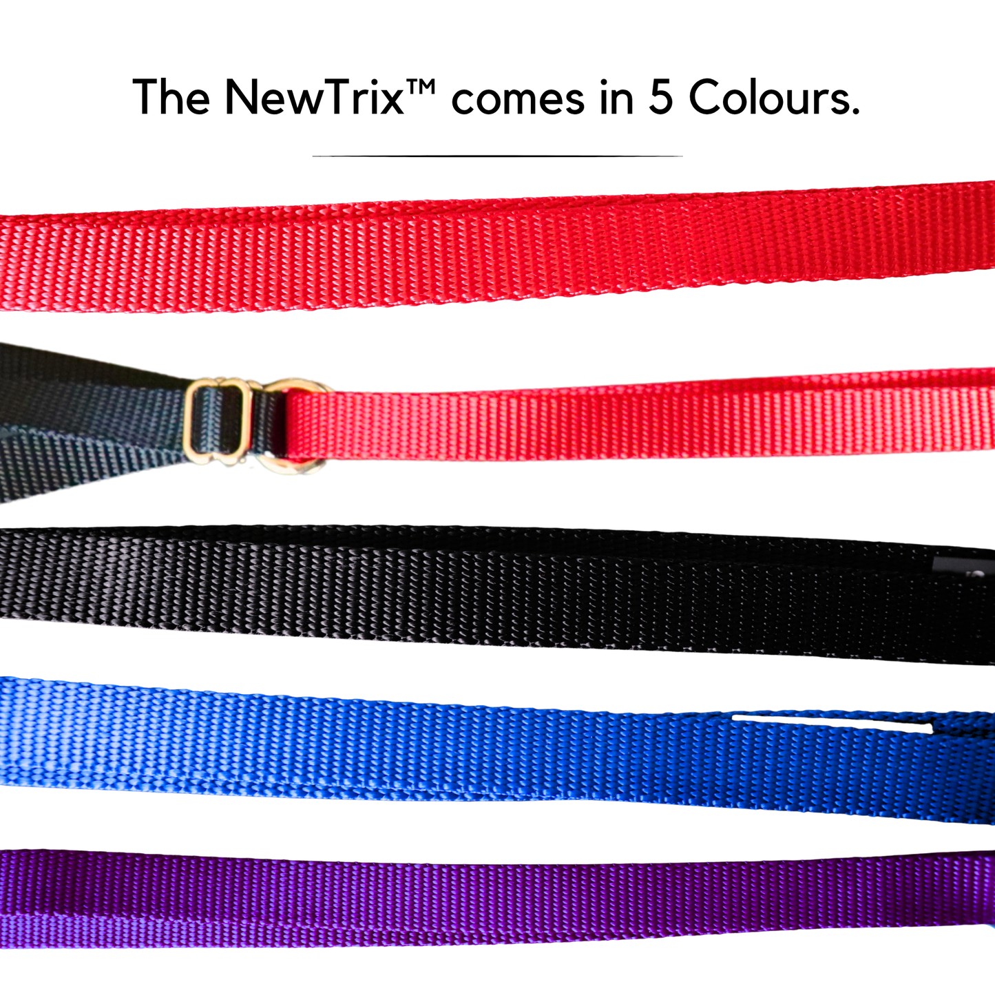 The NewTrix Dog Halter