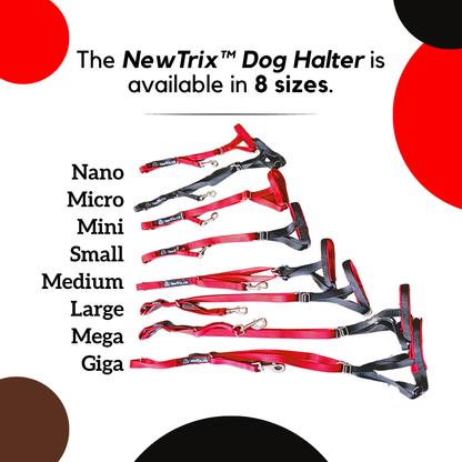The NewTrix Dog Halter