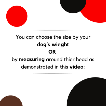 The NewTrix Dog Halter