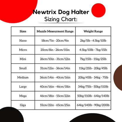 The NewTrix Dog Halter