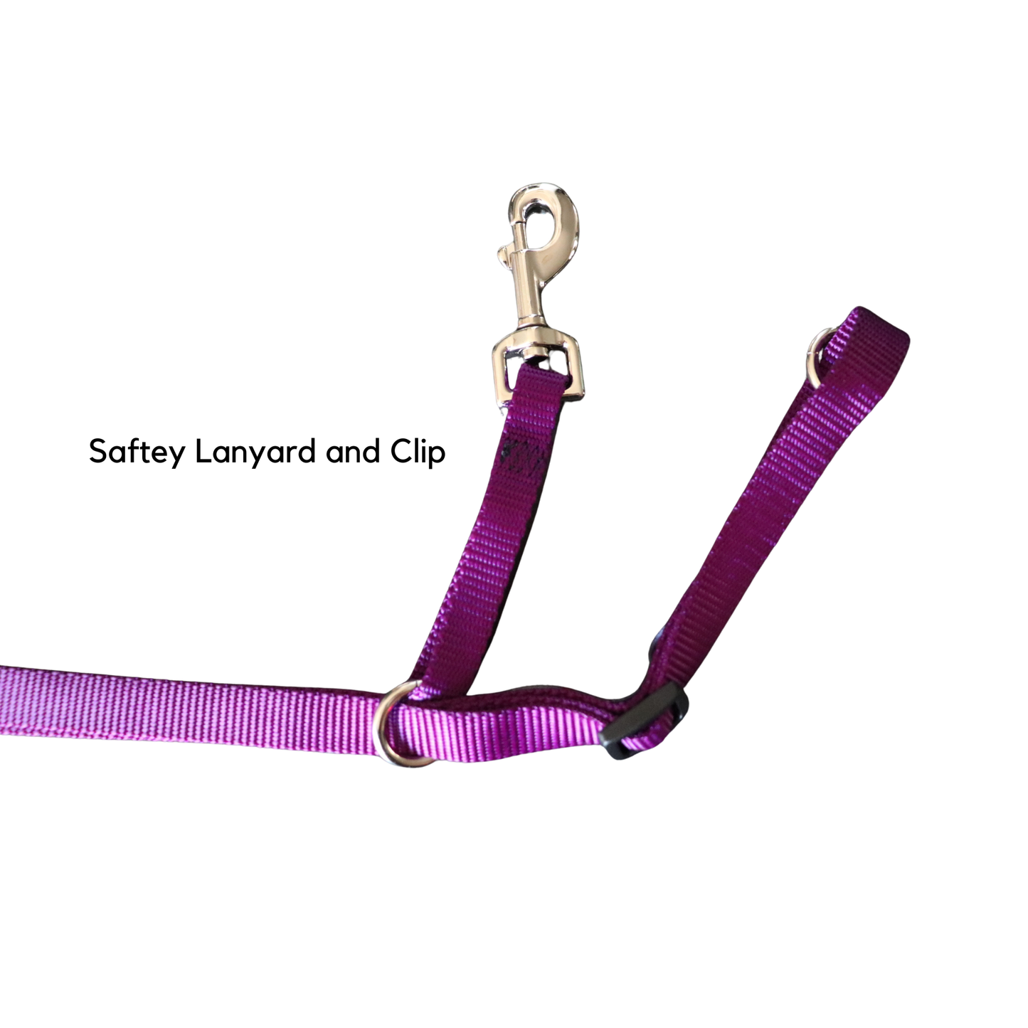 The NewTrix Dog Halter