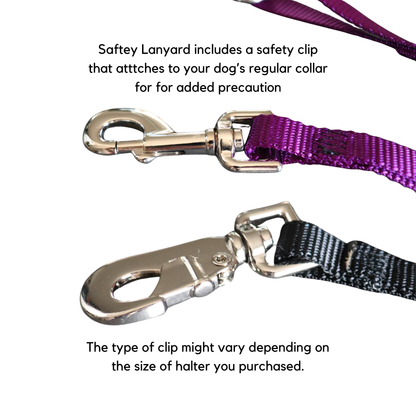 The NewTrix Dog Halter