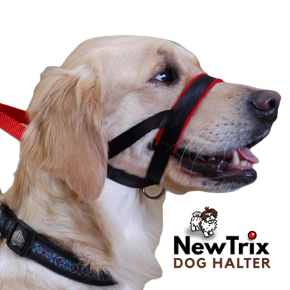 The NewTrix Dog Halter