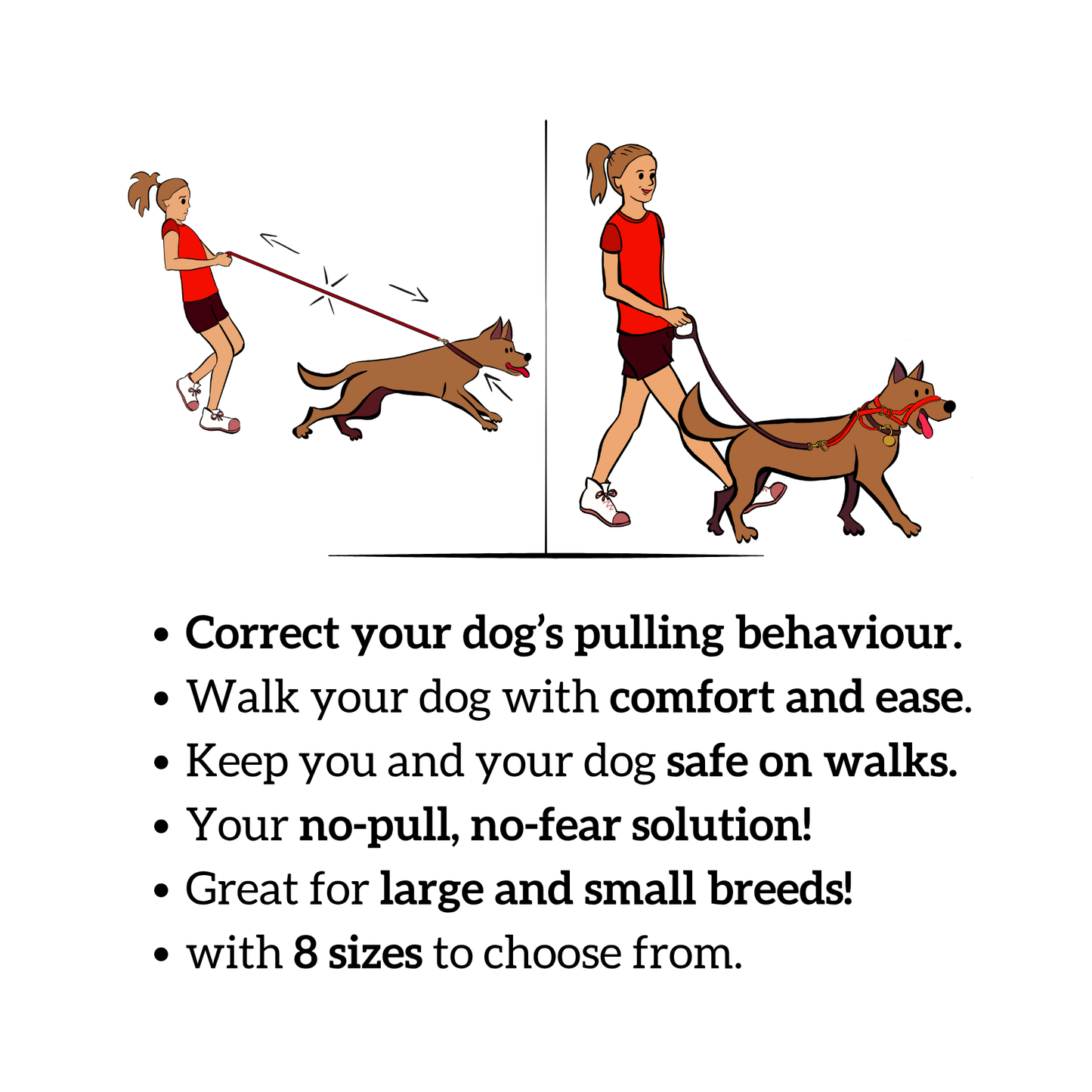 The NewTrix Dog Halter