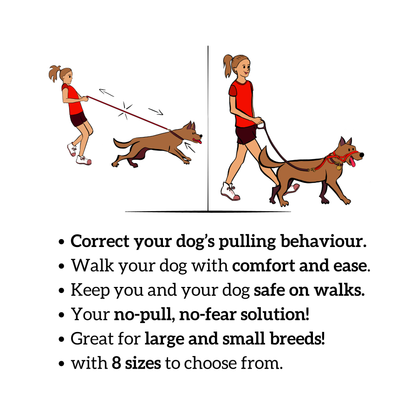 The NewTrix Dog Halter