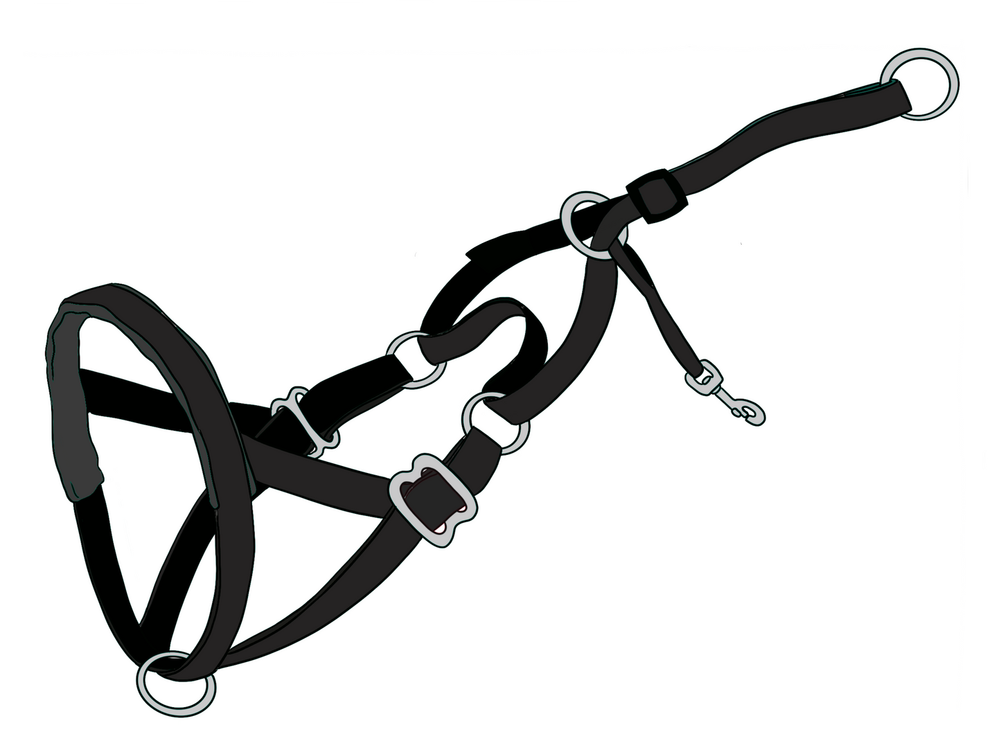 LARGE size NewTrix dog halter