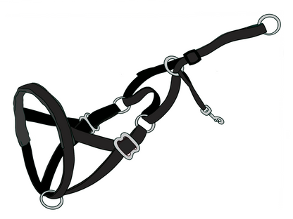A black dog halter with adjustable straps and metal rings, designed for training purposes.