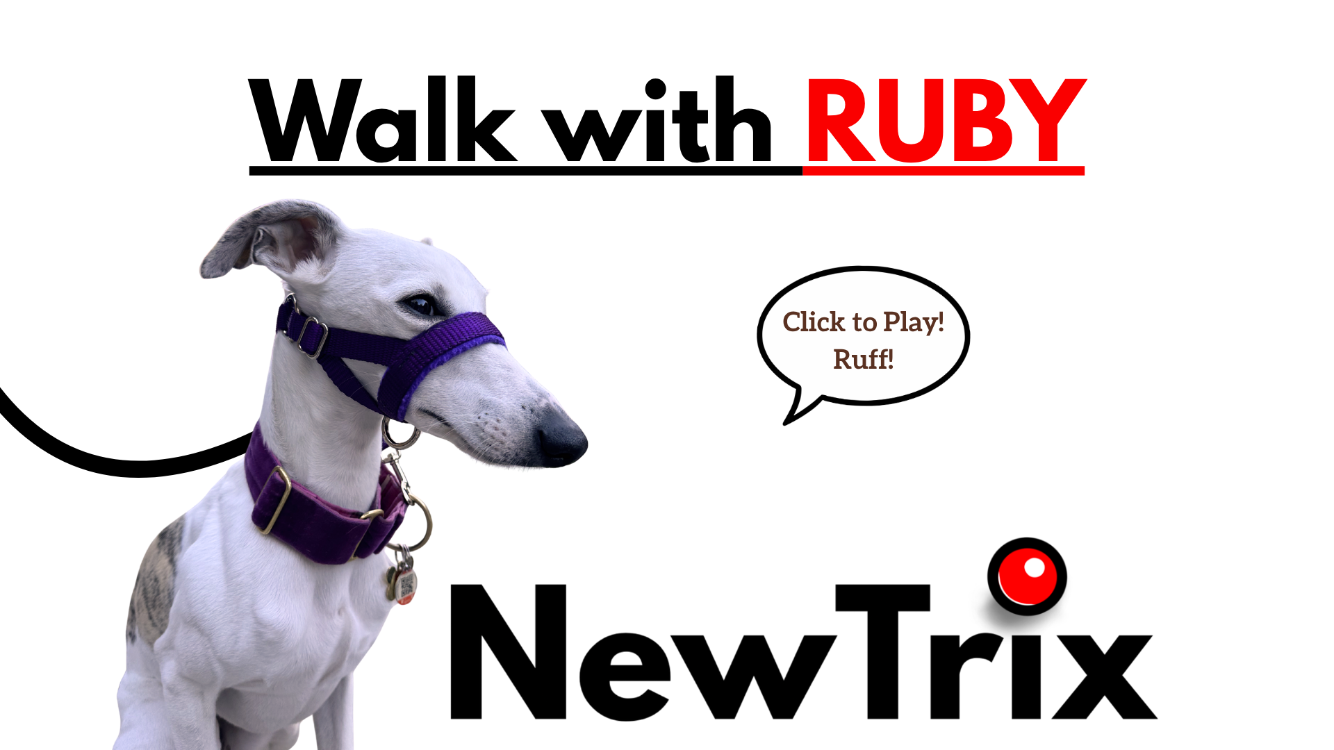 Load video: NewTrix dog halter stops your dog from pulling!
