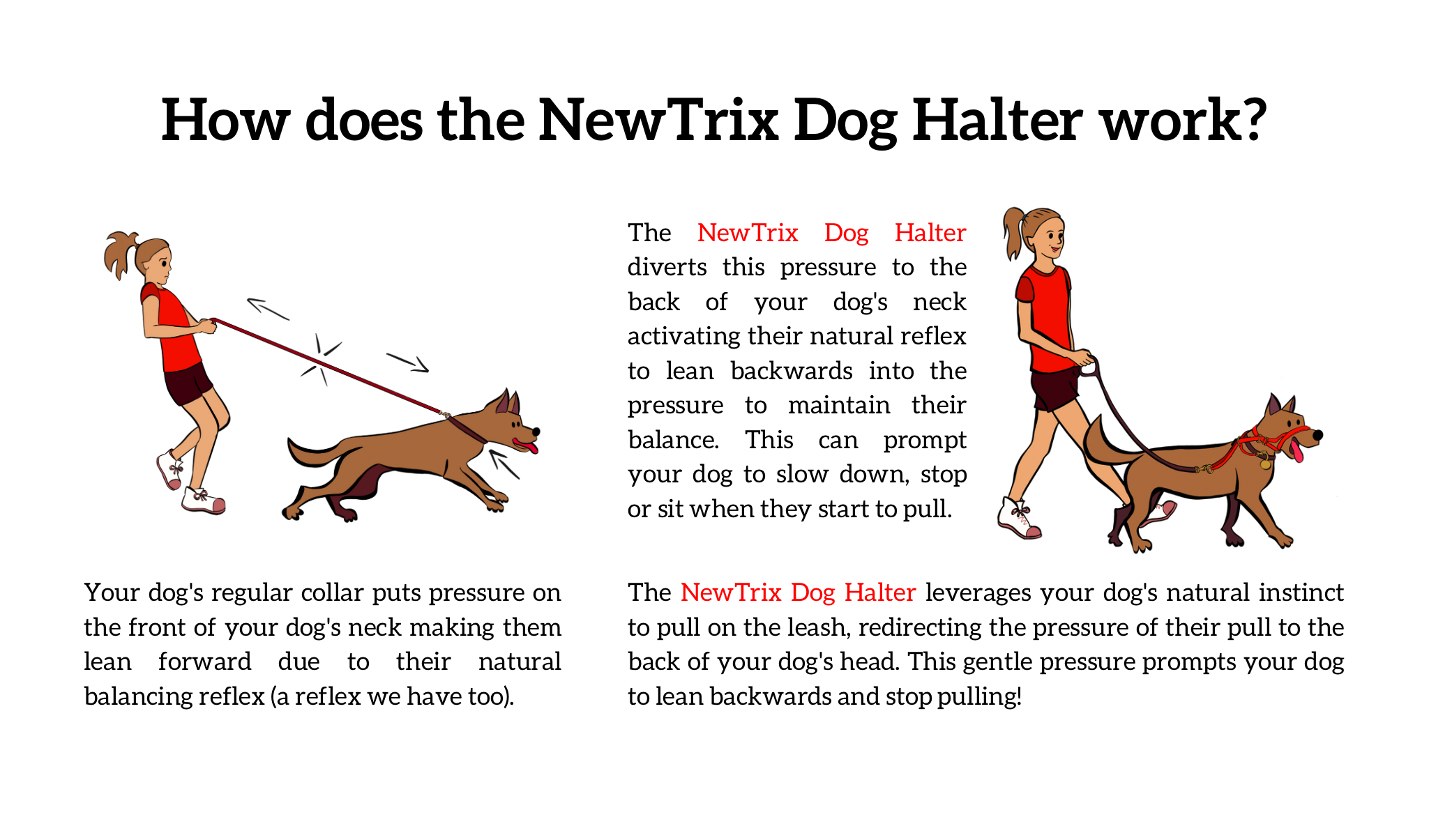 Dog halter collar outlet