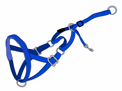 The NewTrix Dog Halter