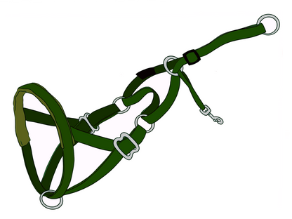 The NewTrix Dog Halter