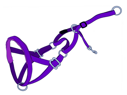 The NewTrix Dog Halter