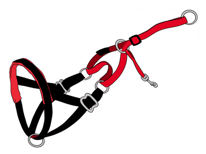 MEDIUM size NewTrix dog halter