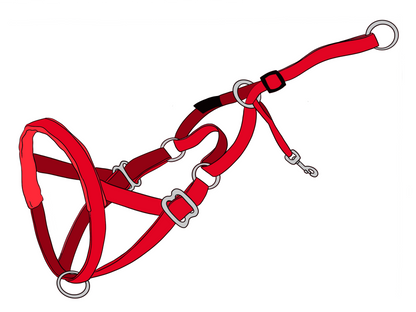 The NewTrix Dog Halter